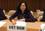 A talk with the first Vietnamese woman appointed WHO's division director