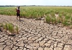 What would Vietnam be without the Mekong Delta?