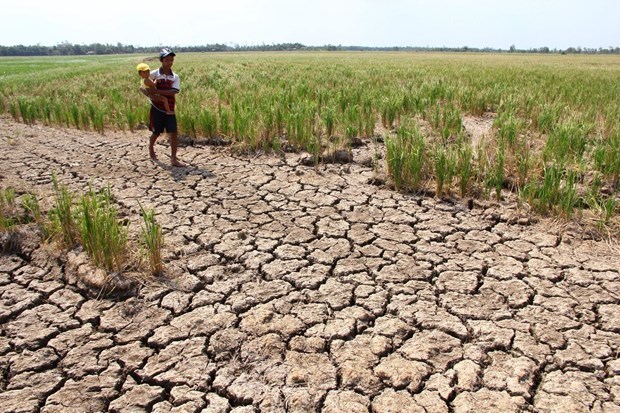 What would Vietnam be without the Mekong Delta?