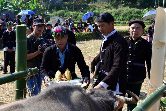 Buffalo worship of Lu ethnic group