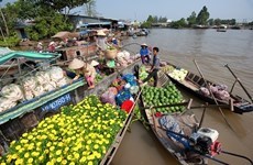 Mekong Delta, southern islands are new domestic tourism hotspots