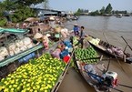 Mekong Delta, southern islands are new domestic tourism hotspots