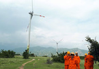 Investors develop wind power projects to enjoy good prices