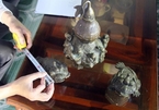 Phu Yen Museum announces fake antiques