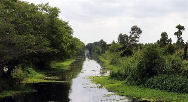 Mekong Delta forests face increasing risk of fires