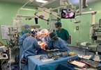 Vietnamese babies undergo successful liver transplants