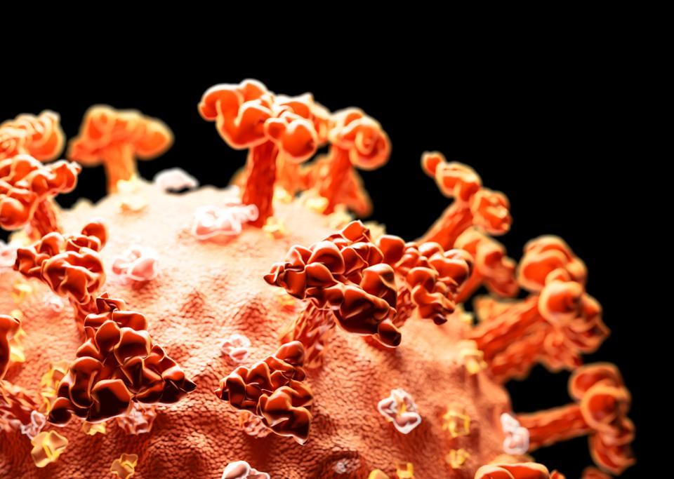 Virus corona gây đại dịch Covid-19 từ tự nhiên, không phải sản phẩm phòng thí nghiệm