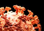 Virus corona gây đại dịch Covid-19 từ tự nhiên, không phải sản phẩm phòng thí nghiệm