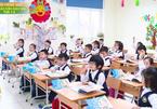 Do private schools in Vietnam need rescuing?