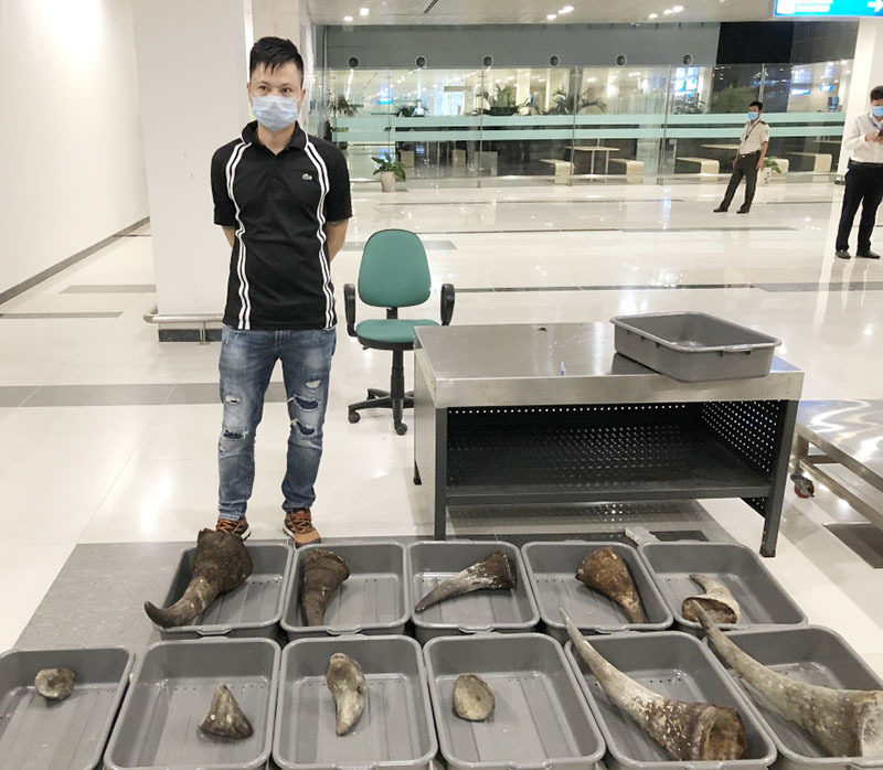Bay từ Hàn Quốc về Cần Thơ, liều lĩnh kí gửi gần 30kg sừng tê giác