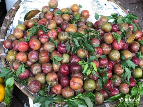 Mận đầu mùa giá 'chát', tiểu thương Hà Nội 'hét' giá 200 nghìn đồng/kg