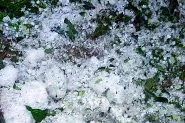 Mưa đá dội thủng hàng loạt mái nhà ở Thanh Hóa