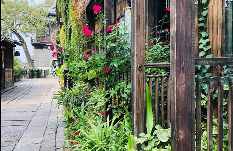 Khốn khổ vì hàng xóm nửa đêm vẫn 'đập vỡ cây đàn', 'hót đi chim'