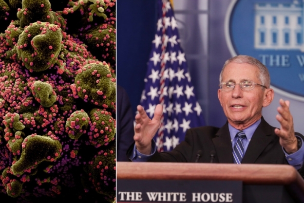 Quan chức y tế Mỹ cảnh báo Covid-19 có thể quay lại theo mùa