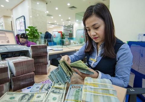 Foreign currency market eases following central bank’s intervention