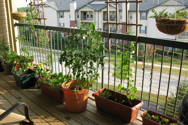 Được lộc 1 tỷ, vợ chồng tranh cãi nên mua nhà hay dành tiền đầu tư?