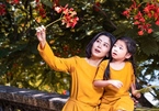 Bộ ảnh đẹp Mai Phương chụp cùng con gái trước khi qua đời