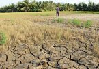 Should Mekong Delta have many small reservoirs or a few large ones?