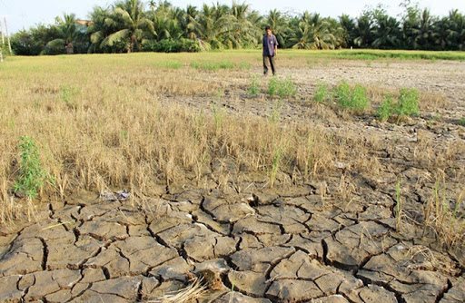 Should Mekong Delta have many small reservoirs or a few large ones?