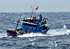 8 ngư dân Quảng Ngãi cùng tàu cá mất tích ở Hoàng Sa