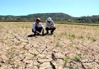 Central Vietnam faces water shortage for summer-autumn crop