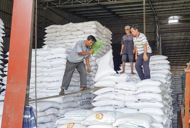 Chưa mở xuất khẩu, giá gạo cấp thấp tăng đột biến