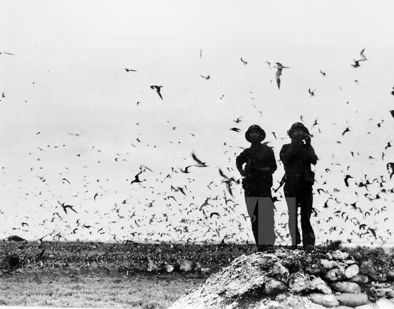 45 years of national reunification: liberation of Truong Sa archipelago