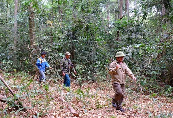 Binh Phuoc tightens forest protection in dry season