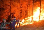 Forest fire warning in Ca Mau increased to highest level