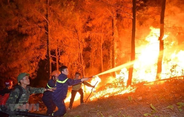 Forest fire warning in Ca Mau increased to highest level