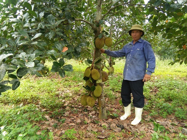 Minh Hóa nỗ lực giảm nghèo theo hướng bền vững