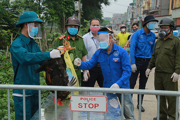 Hạ Lôi xịt khử trùng từng mớ rau, con gà ngày cách ly