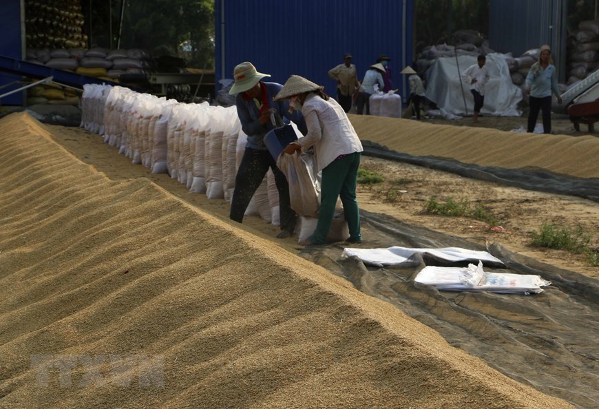 Vietnam to be among top growth performers again in 2021: HSBC