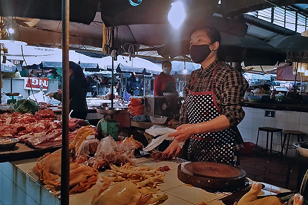 Gà mua 8 ngàn bán 60 ngàn/kg, buôn lợn lãi 3,5 triệu/con