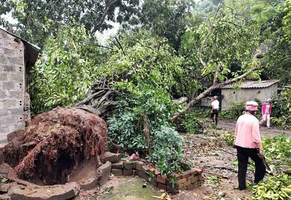 Hail and thunderstorms destroy crops, houses in northern Vietnam