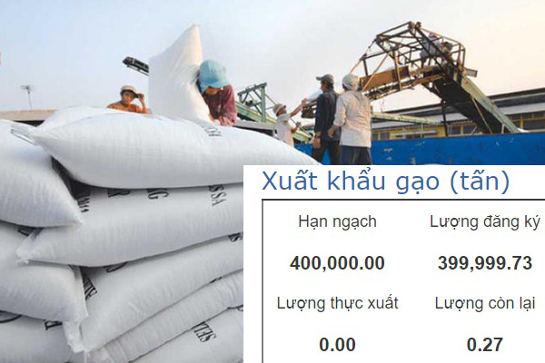 'Xù' bán gạo cho dự trữ nhà nước, tranh nhau xuất đi nước ngoài