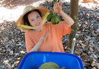 Rời Sài Gòn, Lý Nhã Kỳ về vườn làm nông dân rao bán trái cây