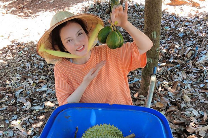 Rời Sài Gòn, Lý Nhã Kỳ về vườn làm nông dân rao bán trái cây