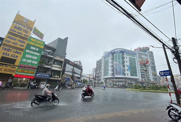 Heavy rains bring cheer to Mekong Delta farmers