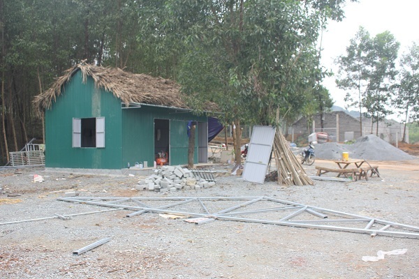 Xử phạt giám đốc khách sạn xây nhà trái phép trên đất lâm nghiệp