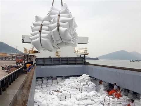 Vietnamese rice exporters surprised with the quick end of export quota