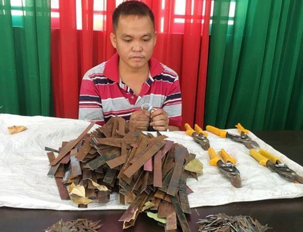 Dong Nai Province: Mechanic caught spreading nails on national highway