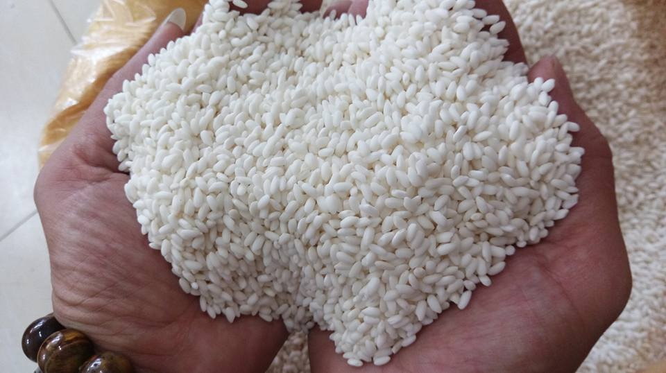 Bộ Công thương hoả tốc xin ý kiến xuất khẩu gạo nếp