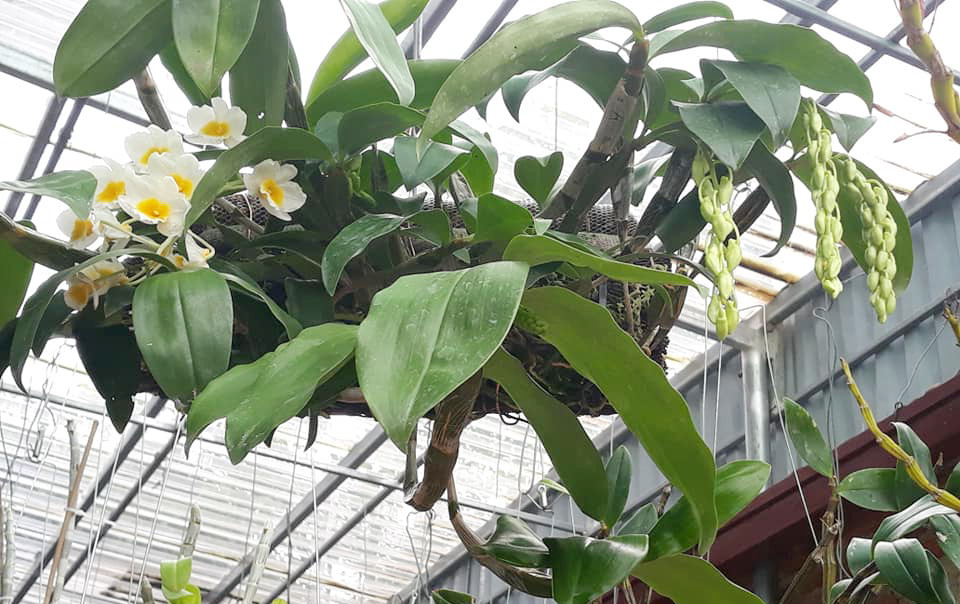 Muốn hôn nhân hạnh phúc, 3 điều này tuyệt đối không làm
