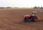 Rice farmers in Mekong Delta told to follow sowing schedules as saline intrusion, drought continues