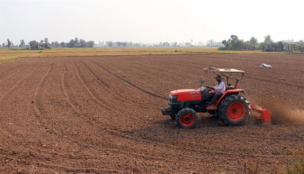 Rice farmers in Mekong Delta told to follow sowing schedules as saline intrusion, drought continues