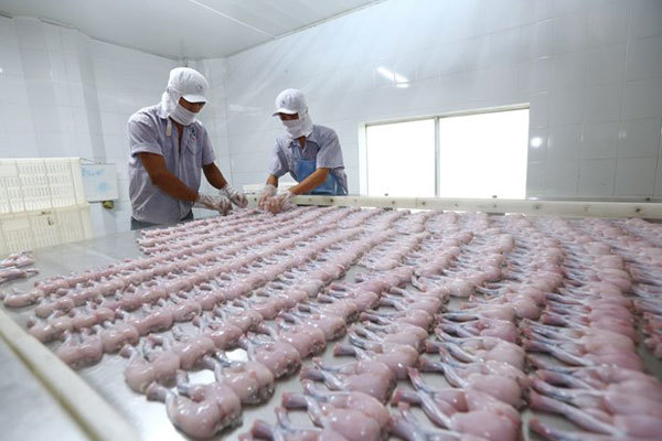 Vietnam accelerates process to put EU trade deal into operation