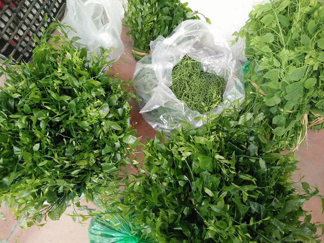Kỳ lạ loại rau có giá đắt hơn thịt ở Việt Nam