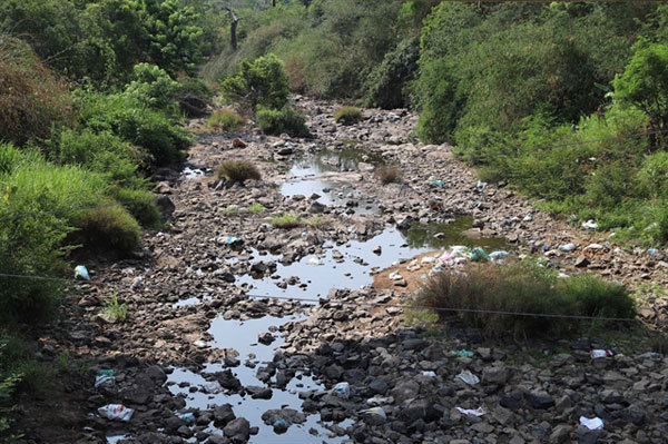 VN environment ministry prepares to tackle drought