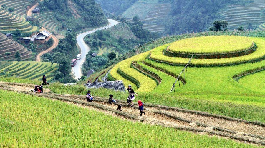 Sản xuất tinh bột sắn dây giúp dân nghèo Măng Ngọt ổn định cuộc sống